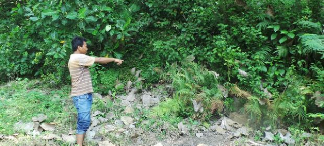 Fosil Raksasa Ditemukan Pelajar SD Saat Main di Sawah, Warga Heboh!